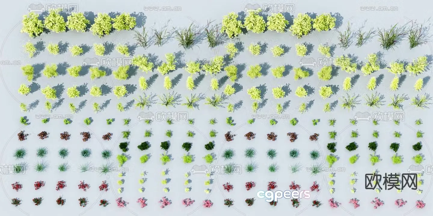 Flowers and plants Wild grass 3d model