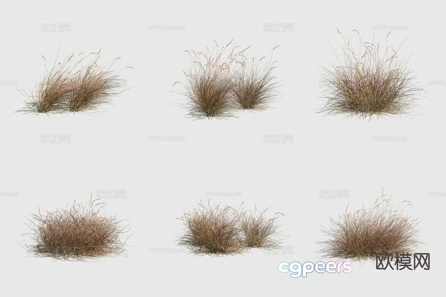 Snake Spear Plant 3D Model