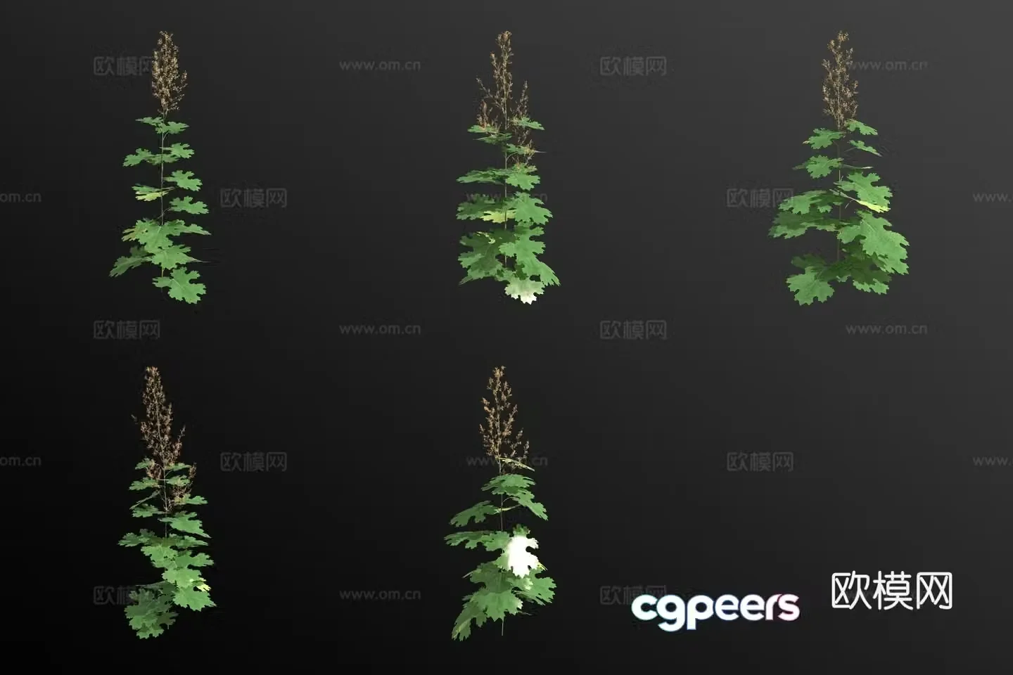 Small fruit tree falls back to flowers and plants 3d model