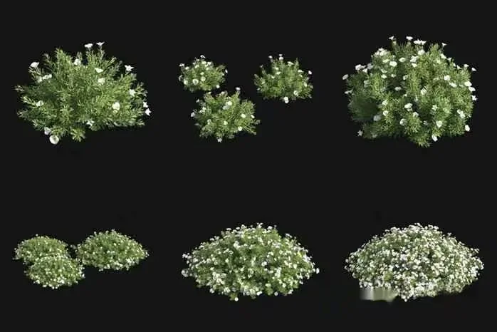 Small White Flowers 3D Model – 823 – VRAY Render
