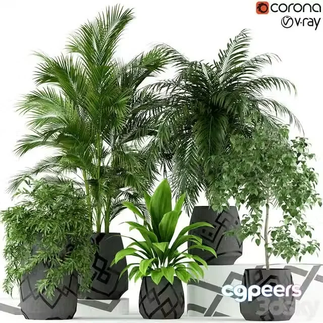 3ds Max Free – Plants collection 195