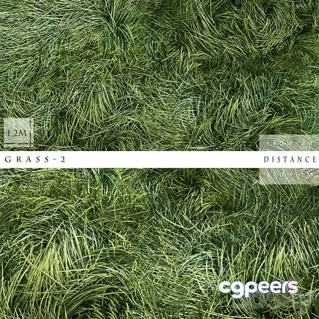 3ds Max Free – GRASS 2