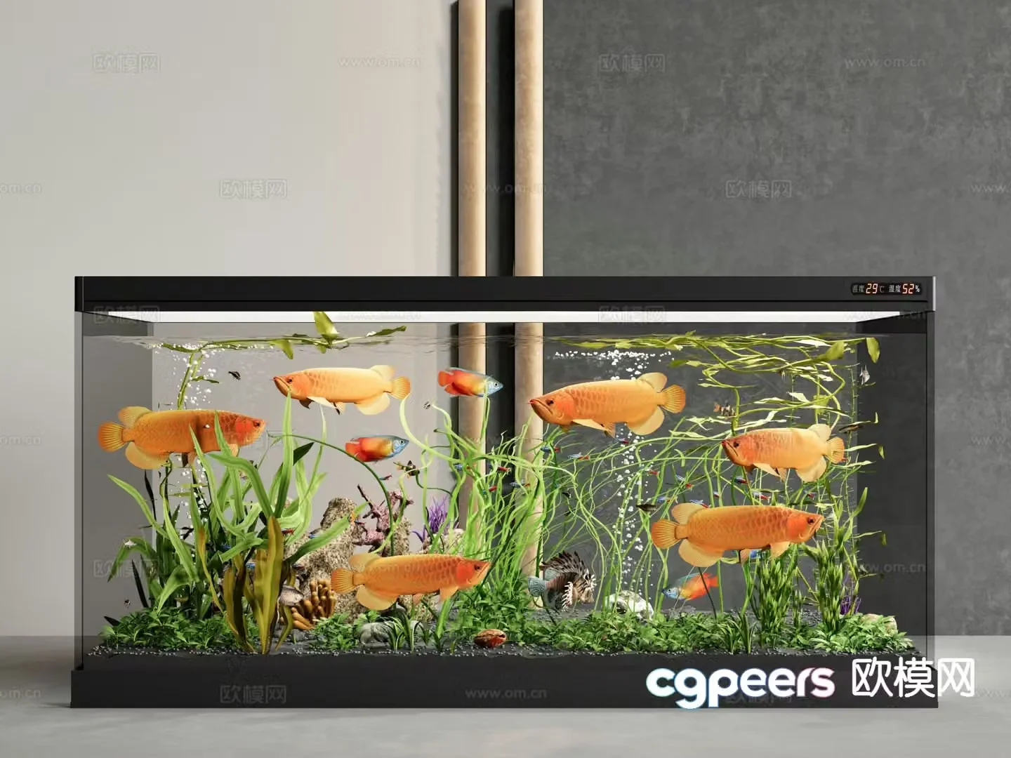 fish tank aquarium ornamental fish 3d model