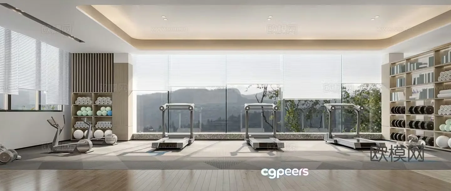 Modern gym fitness area 3d model