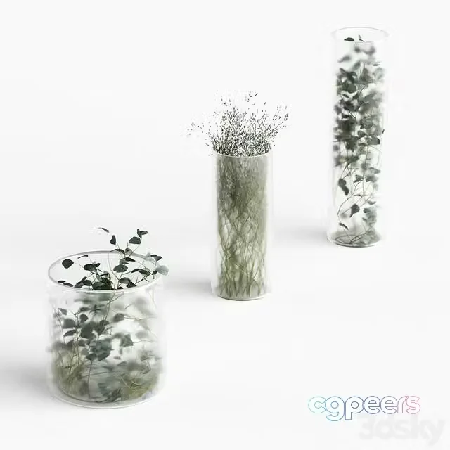 3ds Max Free – Plants in frosted vases