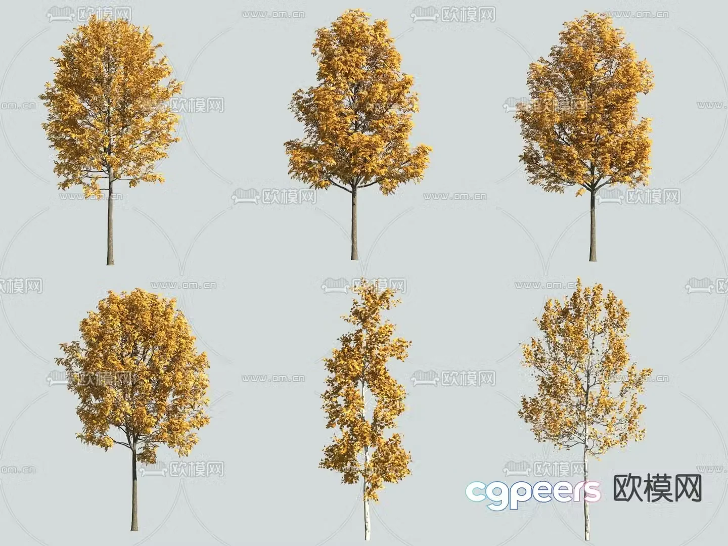 Big tree Yellow leaf tree Autumn tree 3d model