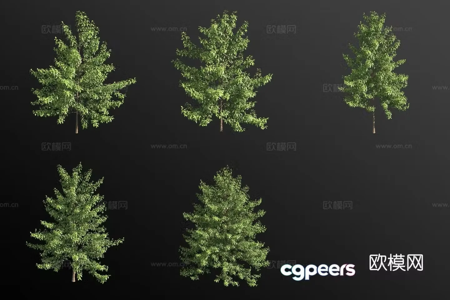Flowery blue fruit tree shrub plant 3d model