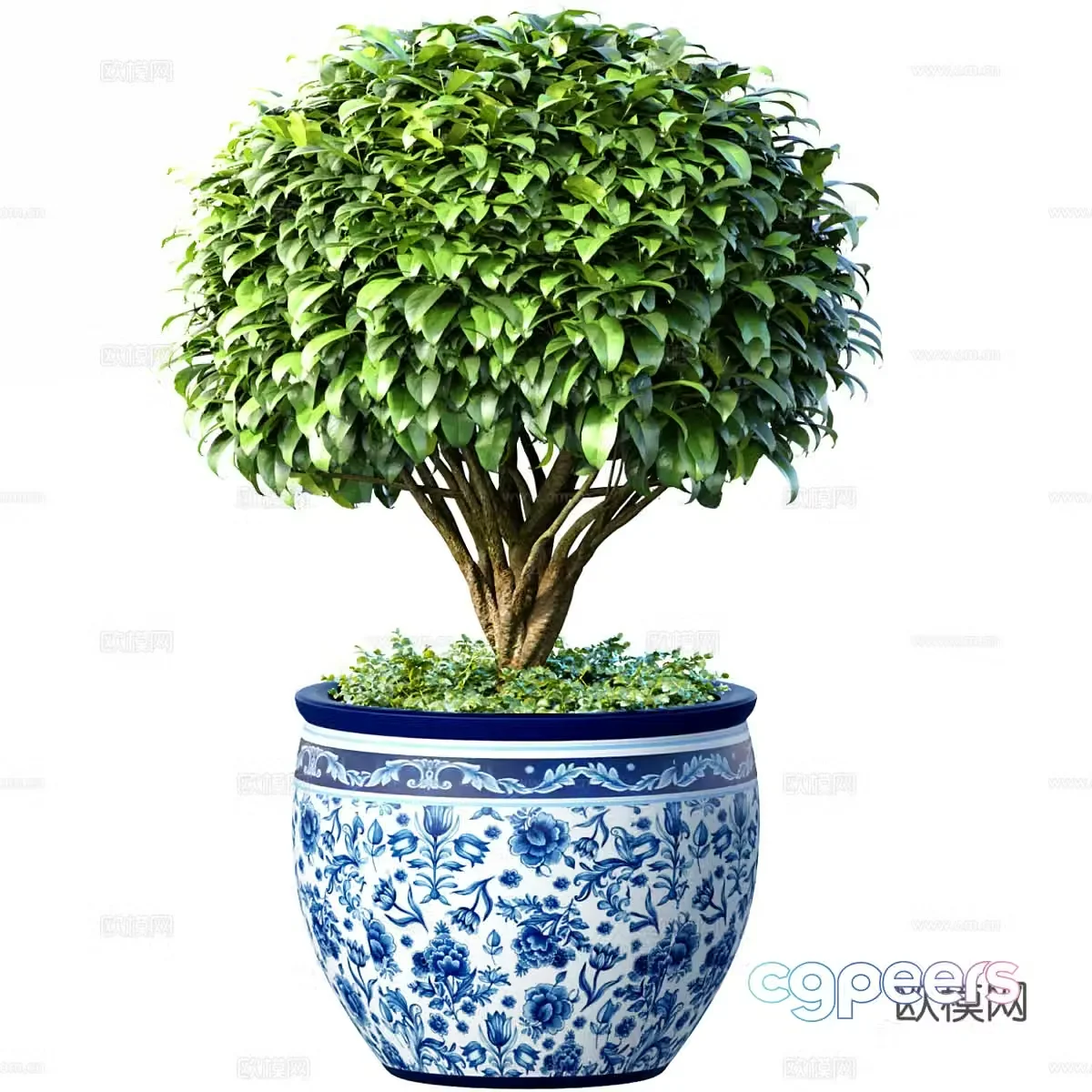 New Chinese style bonsai green plants plant 3d model