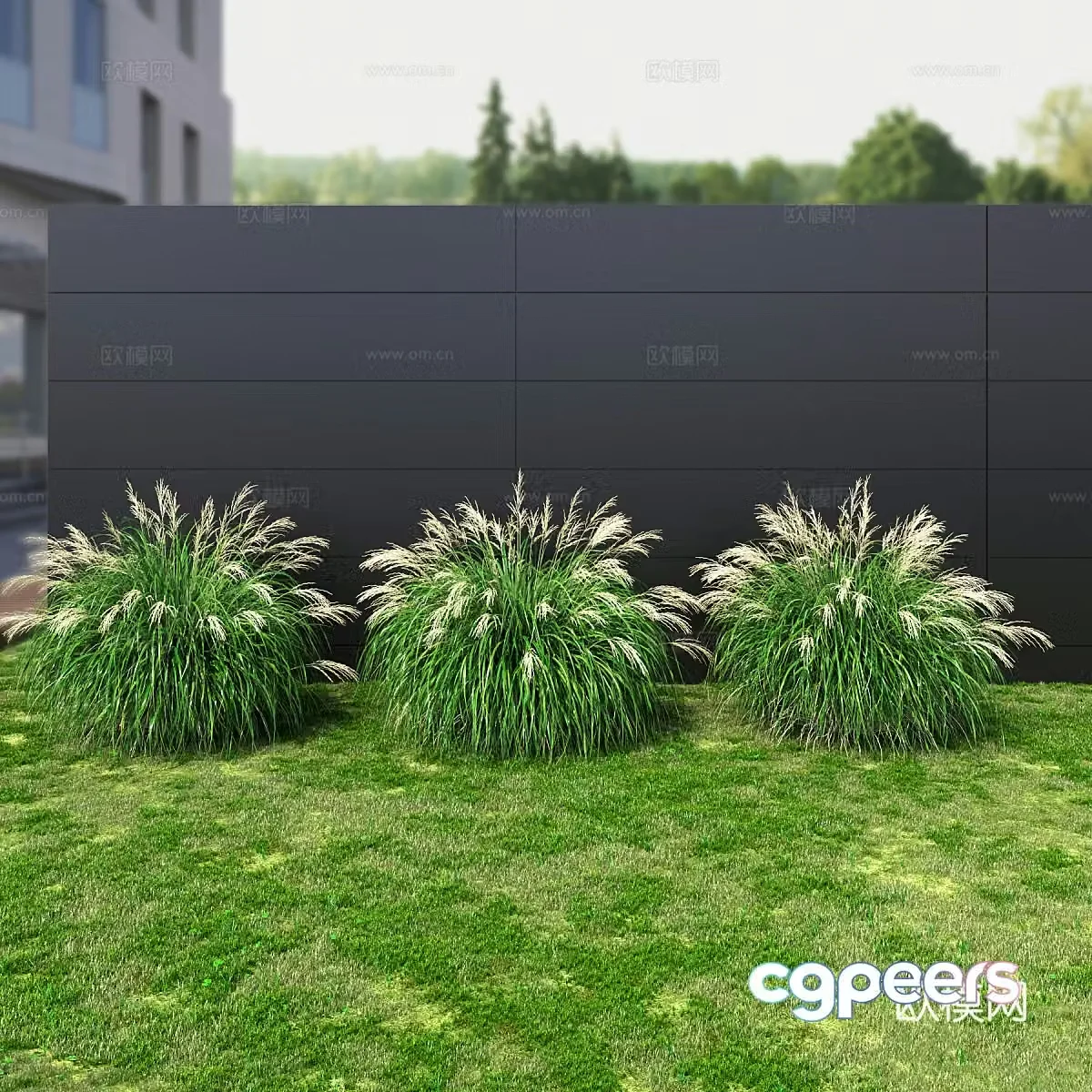 Grass Flowers Shrub 3d Model