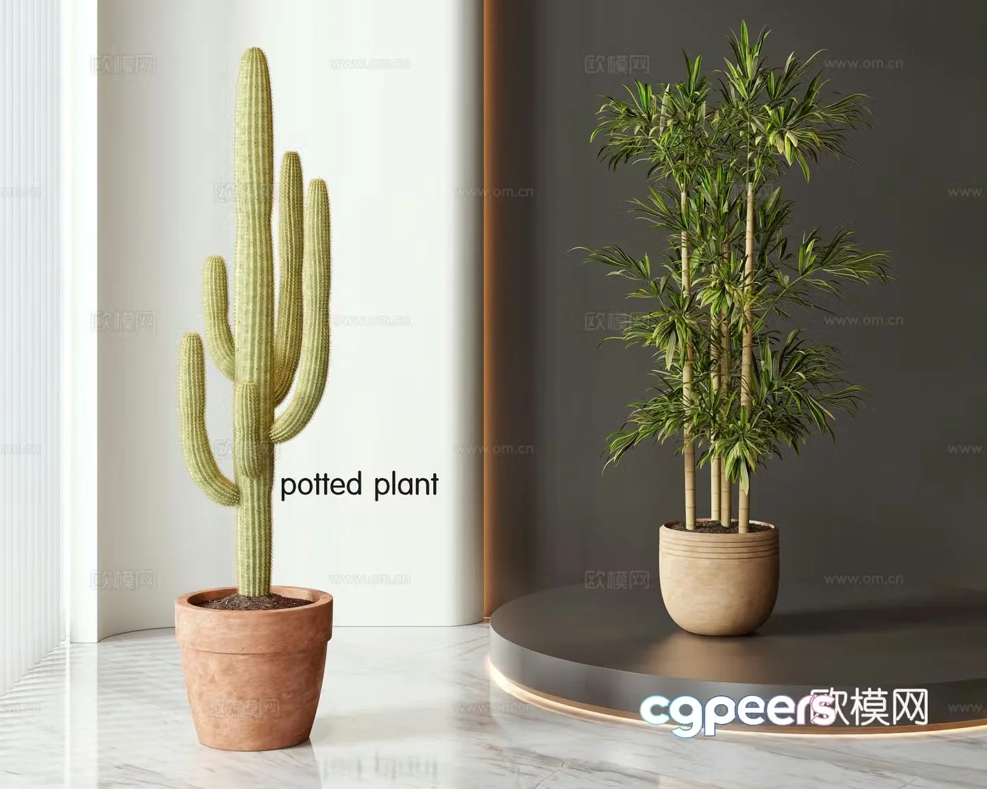 Modern potted bonsai combination 3D model
