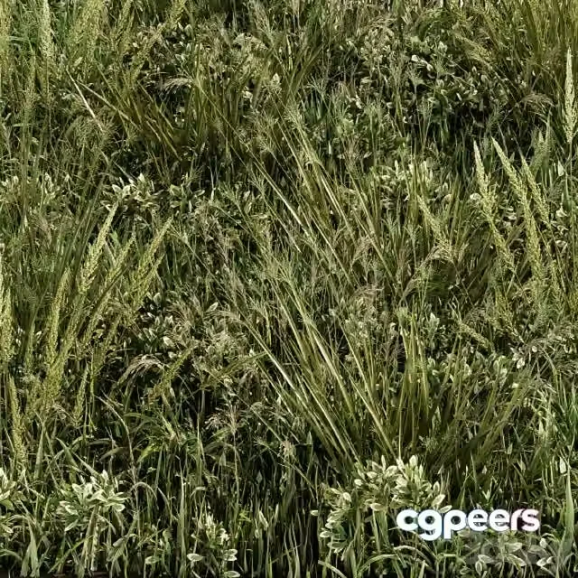 3ds Max Free – Wild Grass Green – Grass Set 03