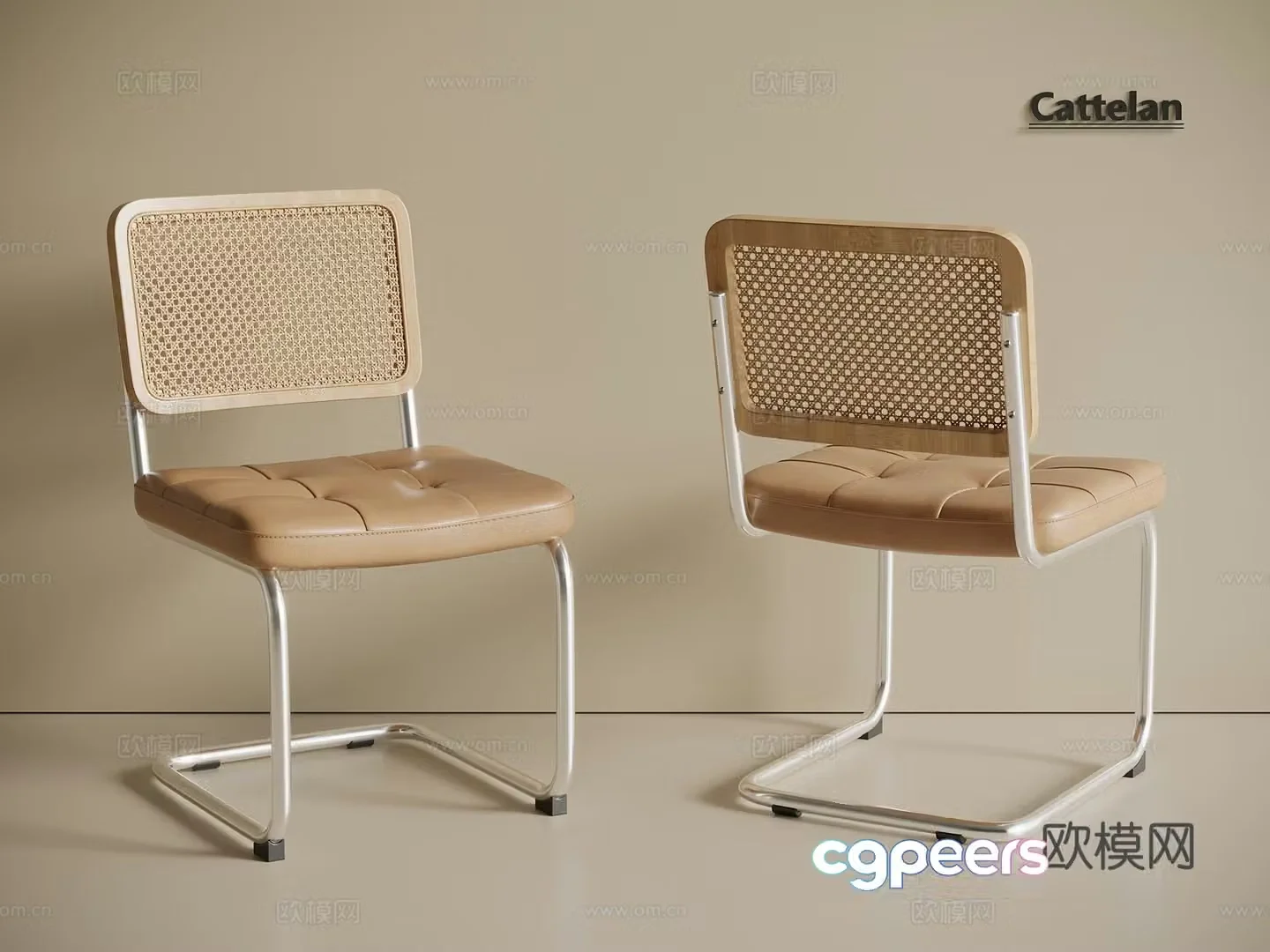 Wasabi Cream Dining Chair Leather Chair Wicker Chair Stainless Steel Chair Book Chair 3D Model