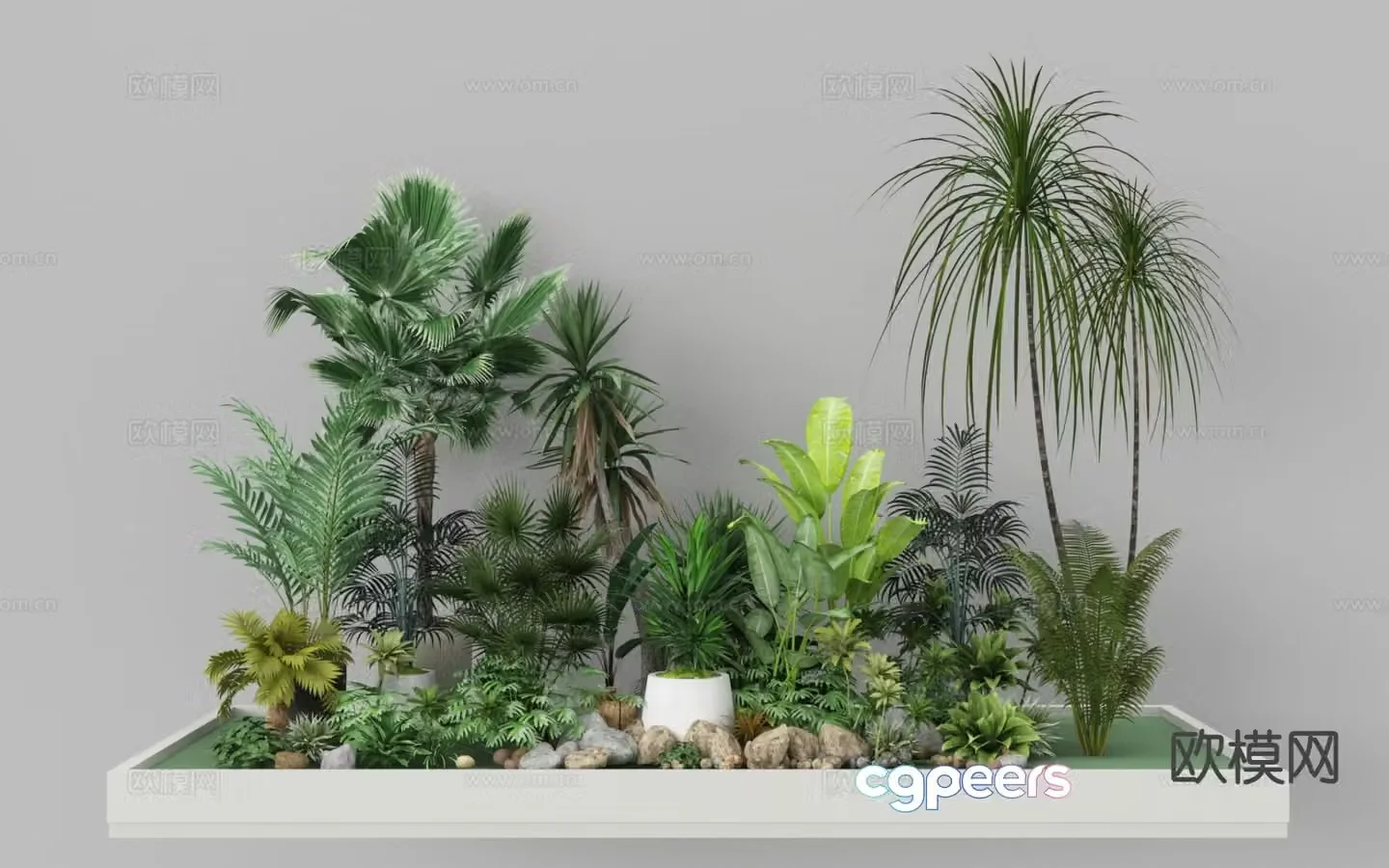Plant landscaping ferns plant piles micro-terrain tropical plants 3D model
