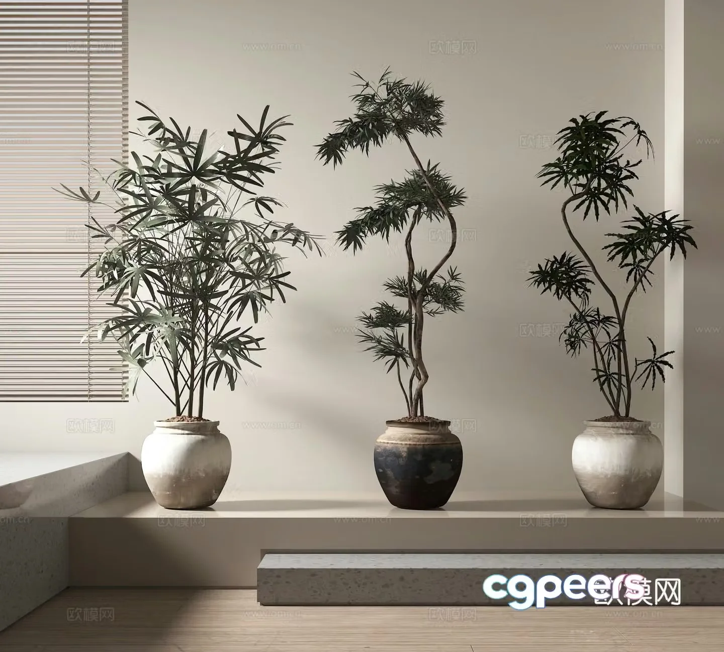 Potted plants Bonsai Green plants 3D model