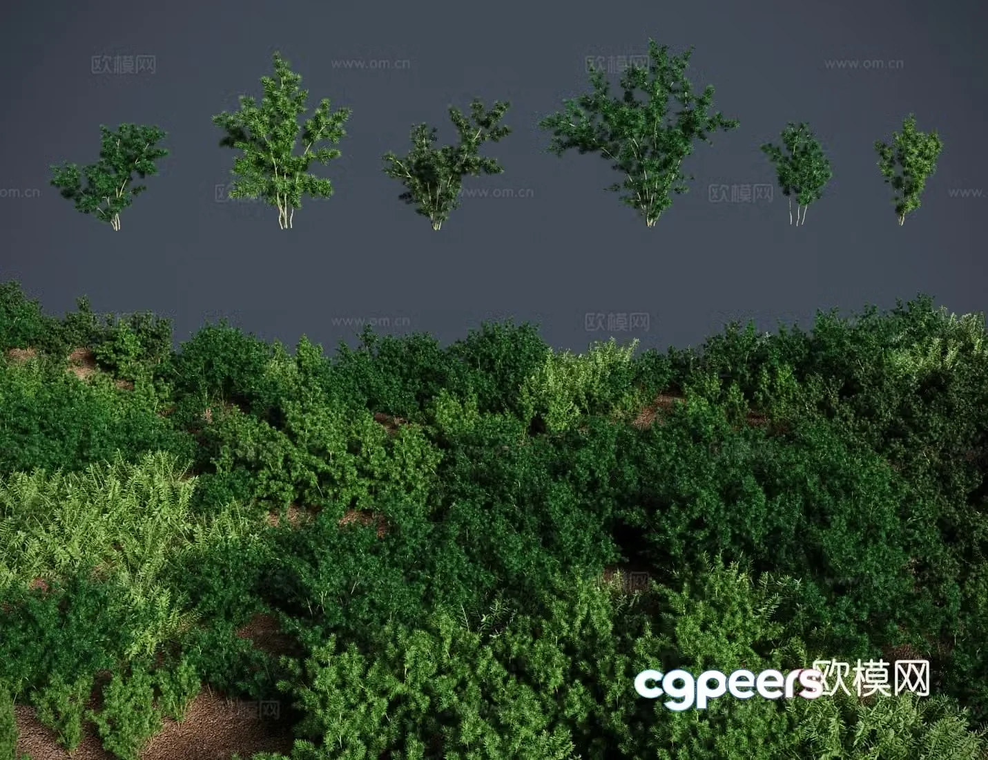 Modern landscape tree Penglai pine bonsai shrub Hydrangea pine water pine pine leaf pine bamboo pine leaf asparagus 3D model