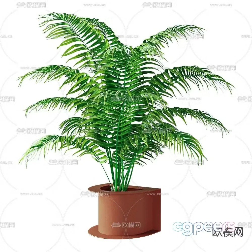 Modern potted green plants 3D model