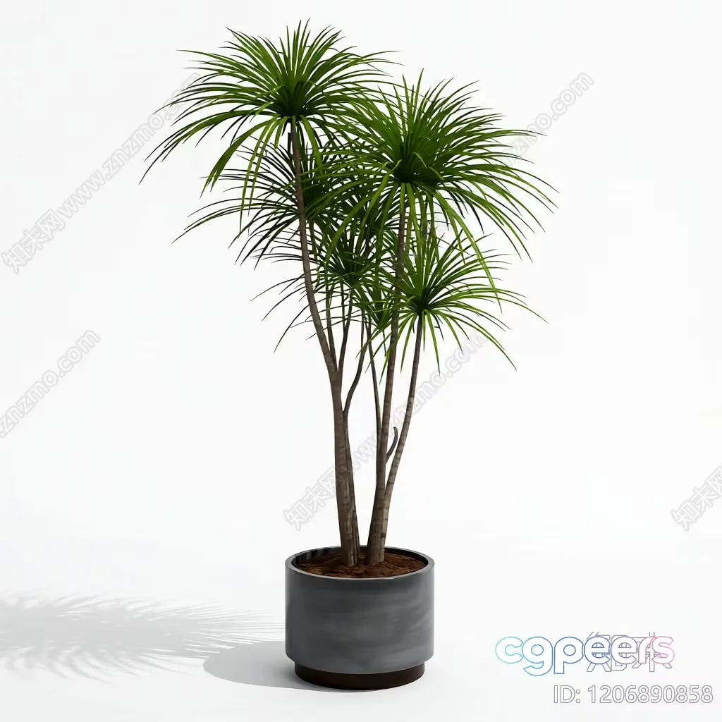 A Potted Plant With Long Green Leaves 3D Model – 10856 – VRAY Render
