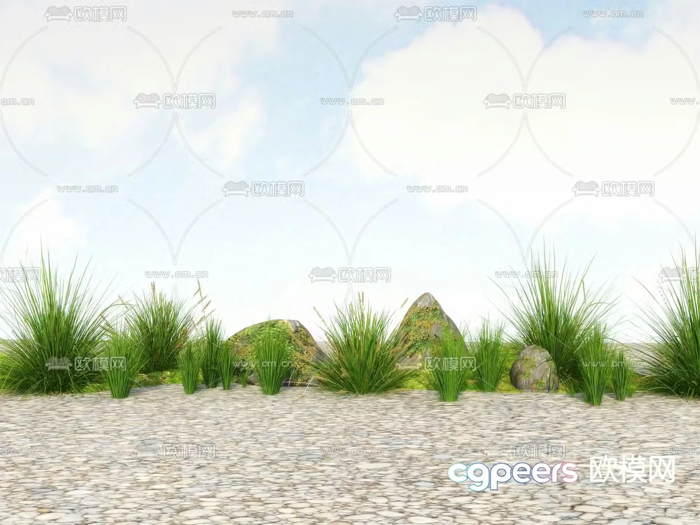 Flowers and plants Wild grass Wild flowers 3d model
