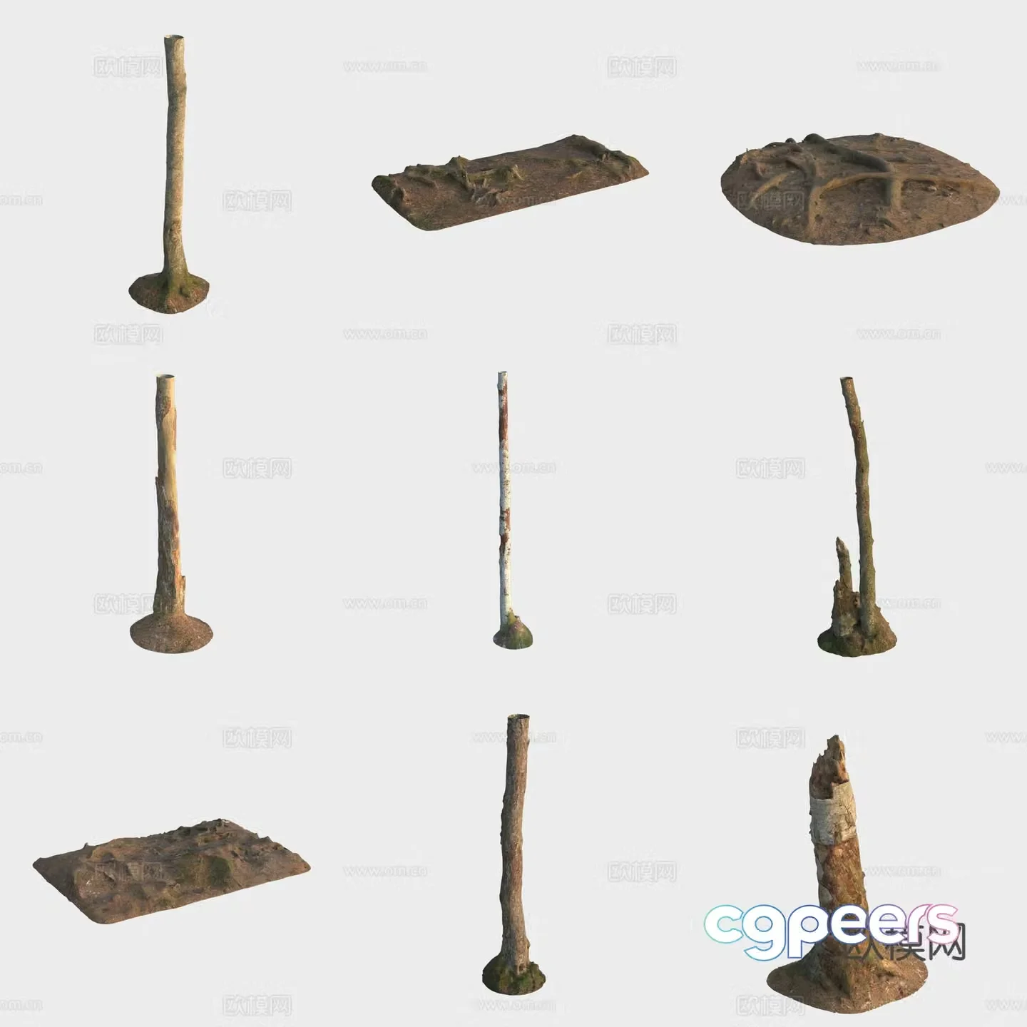 3d model of trunk branches stump