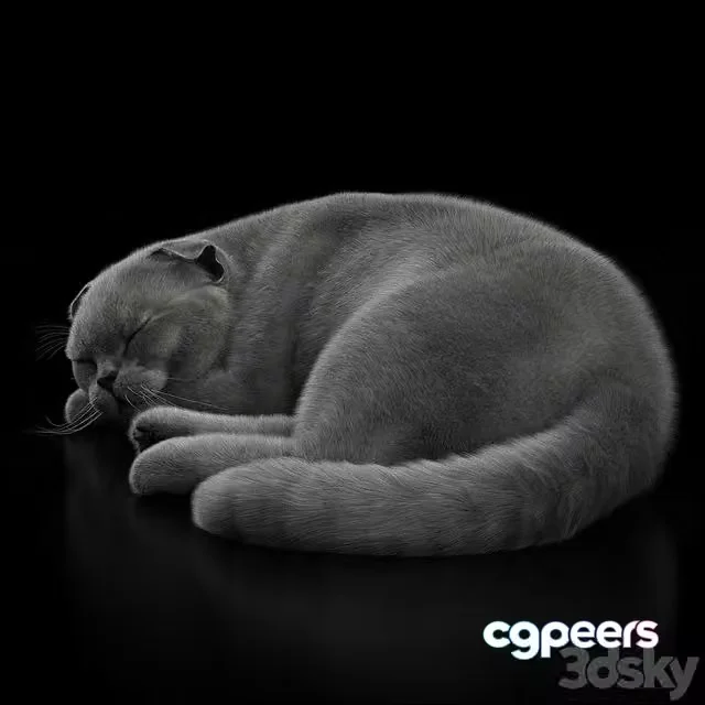 3ds Max Free – Grey sleeping Cat