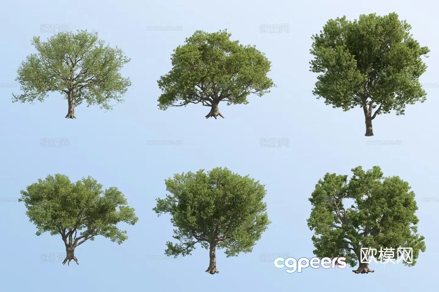 Summer oak tree landscape tree 3d model