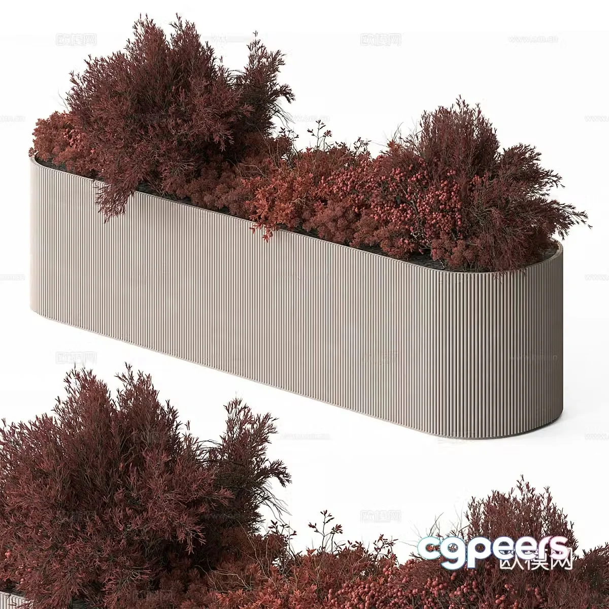 Plant box shrub 3d model