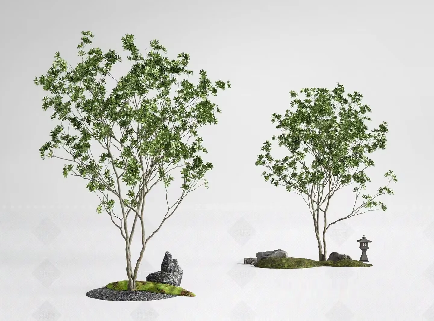 A Tree With Green Leaves 3D Model – 15777 – VRAY Render