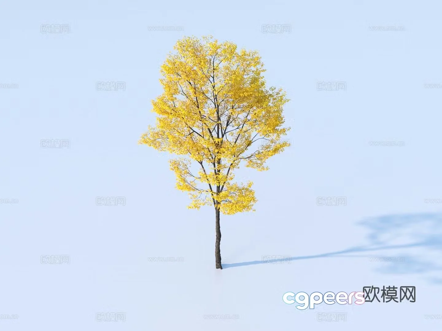 Tree Plant Yellow Leaf Tree Autumn and Winter Tree Colorful Tree Landscape Tree 3D Model