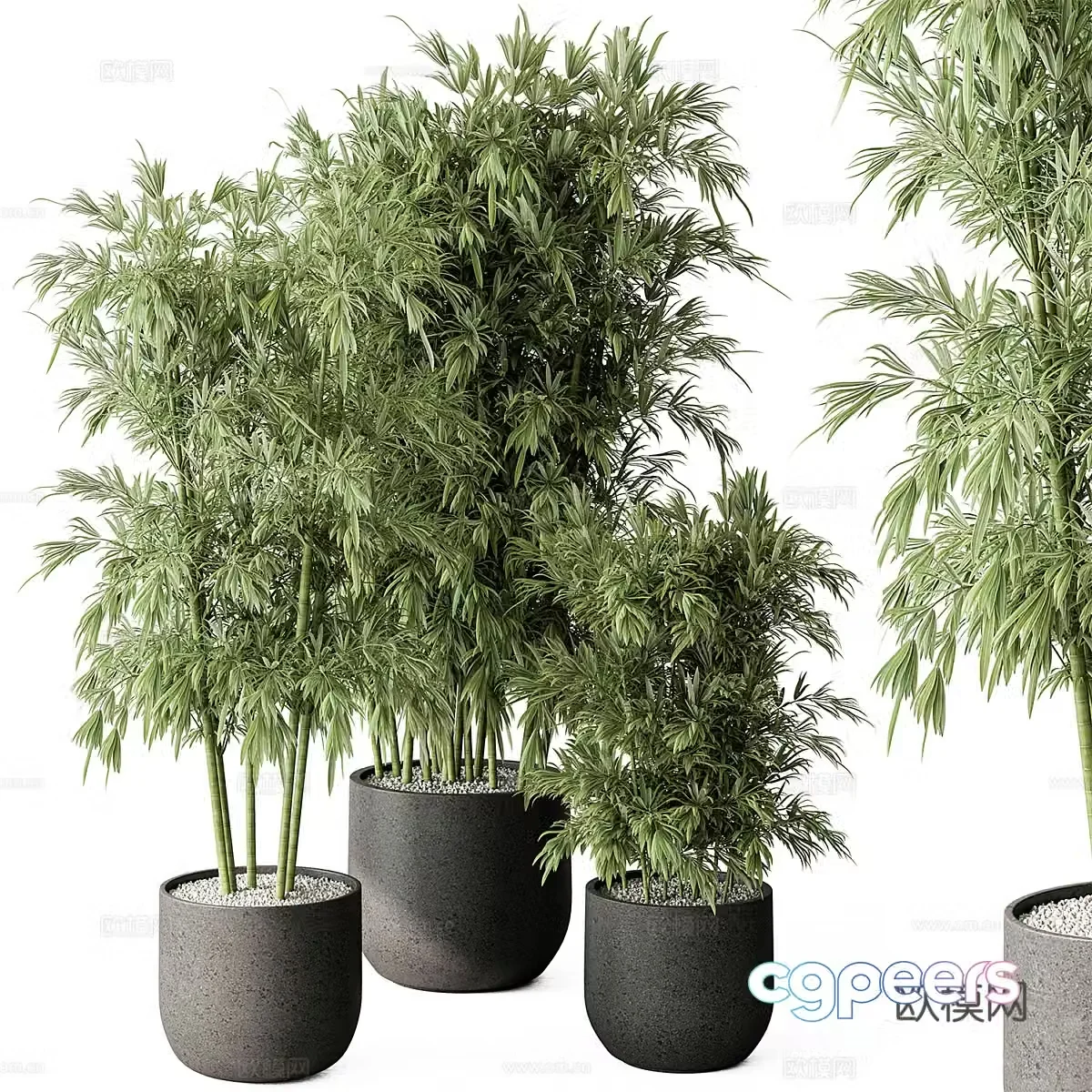 Green plant potted plants Decorative green plants Balcony green plants Outdoor green plants Indoor green plants Flooring 3D model