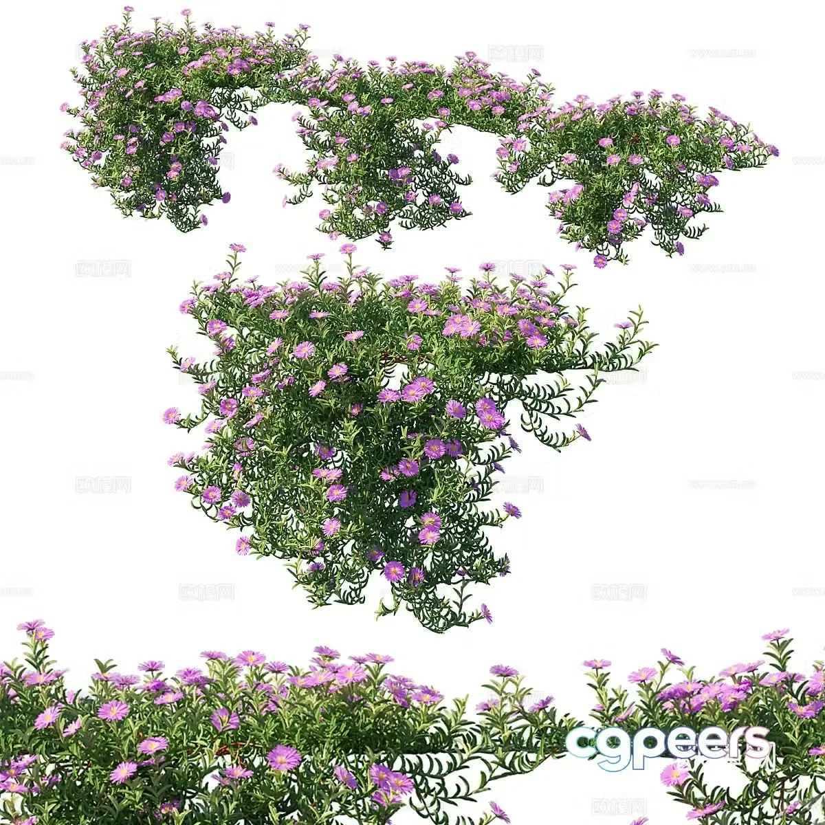 sunflower green plant flowers 3d model