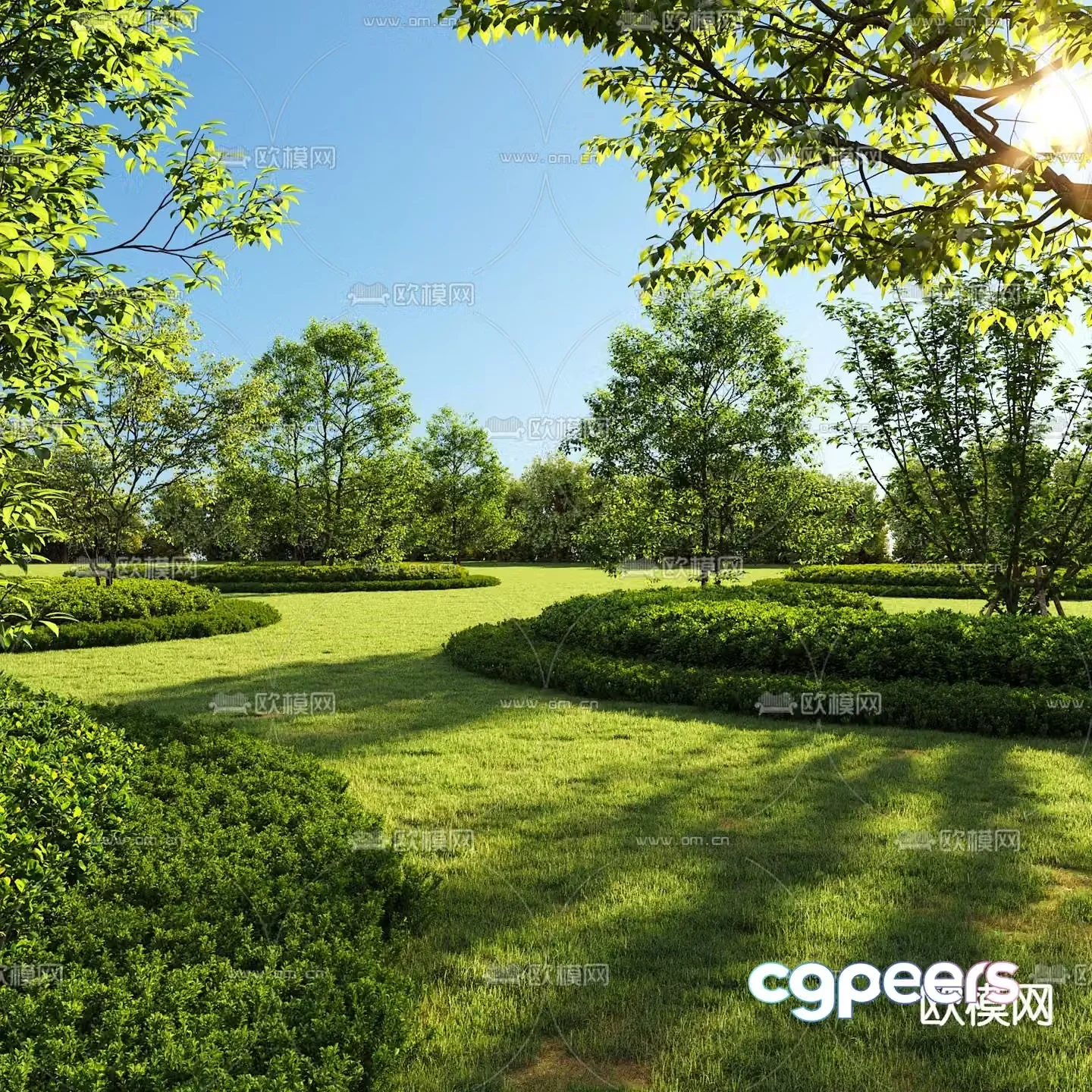 Garden landscape hedge shrub lawn 3d model