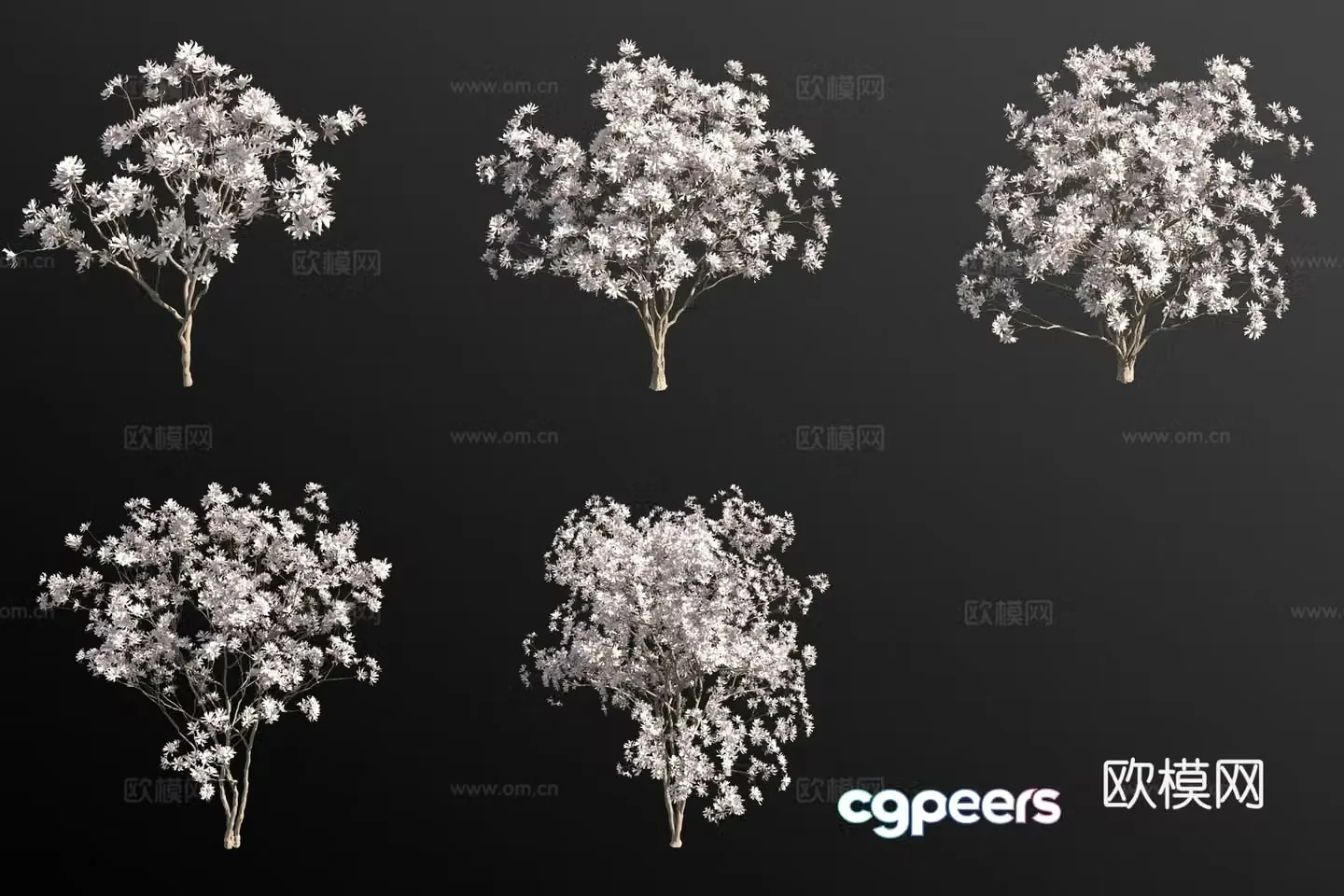 Japanese Magnolia Flower Tree Landscape Tree 3D Model