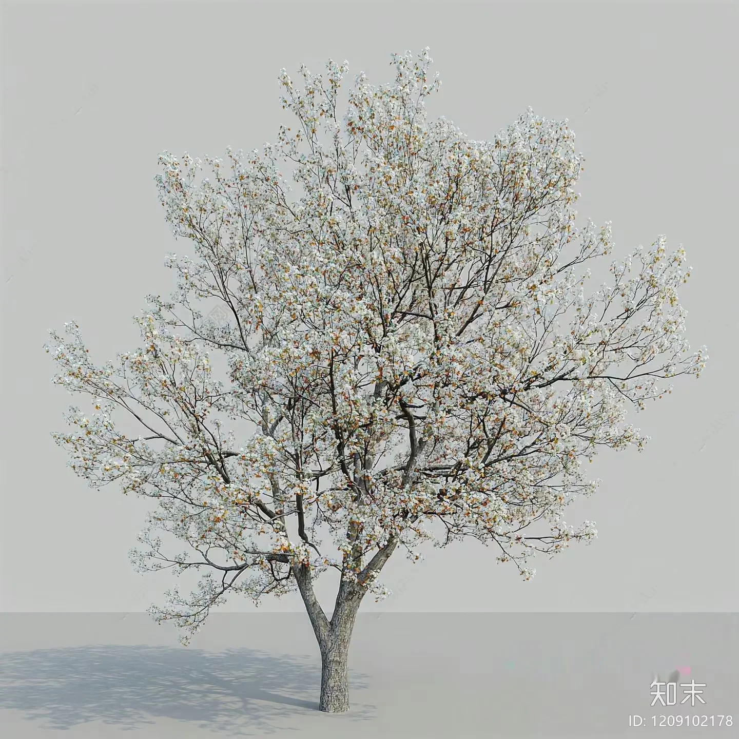 A Tree With White Flowers 3D Model – 10167 – VRAY Render