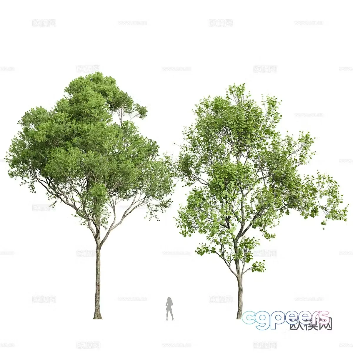 Landscape tree 3d model
