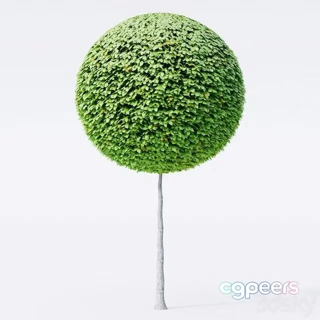 3ds Max Free – Geometric Topiary trees
