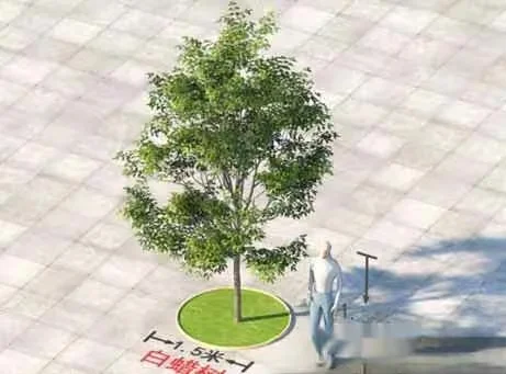 A Person Standing Next To A Tree 3D Model – 22771 – VRAY Render