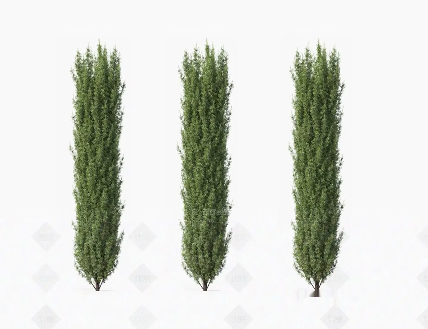 Three Trees 3D Model – 5150 – VRAY Render