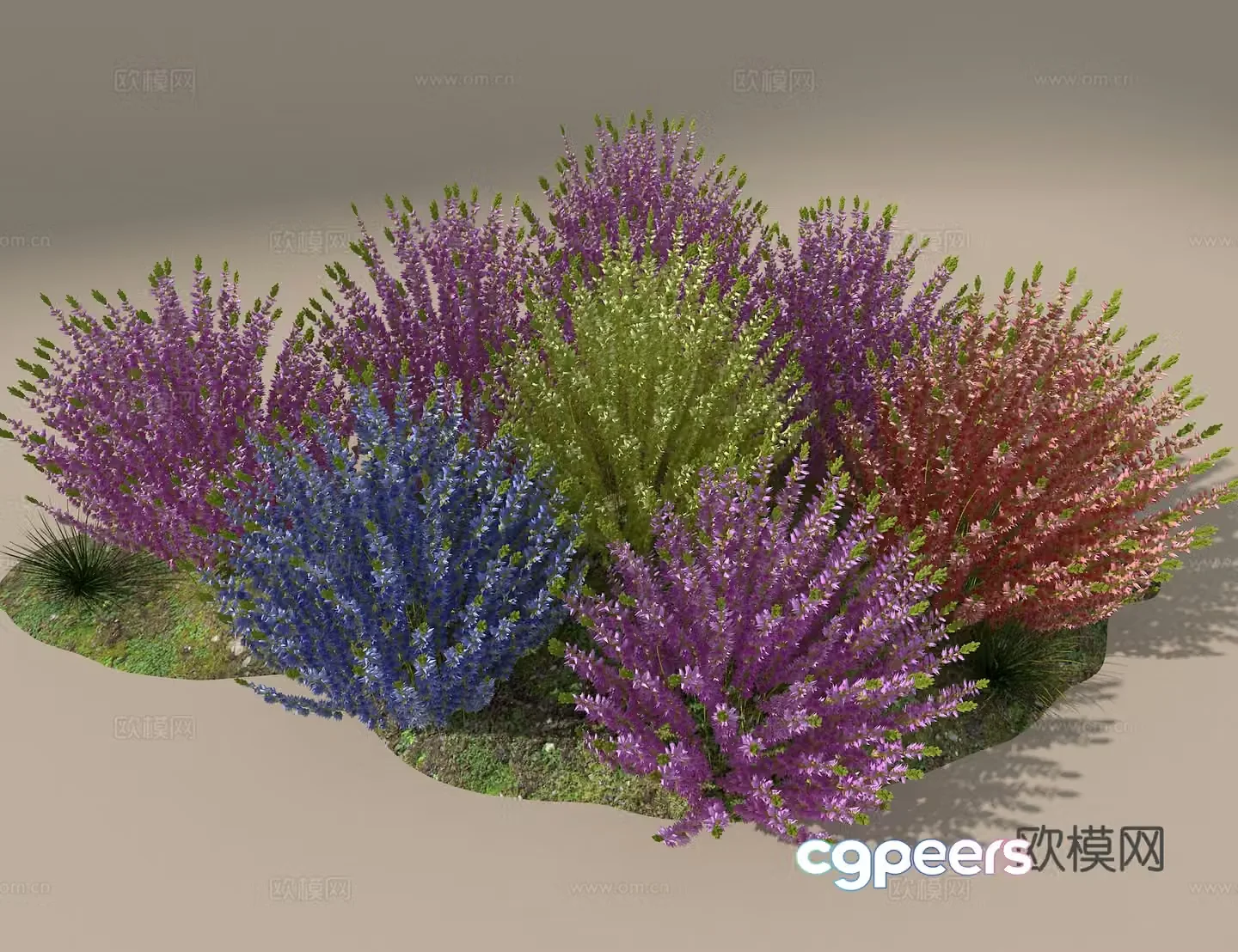 Stone orchid 3D model