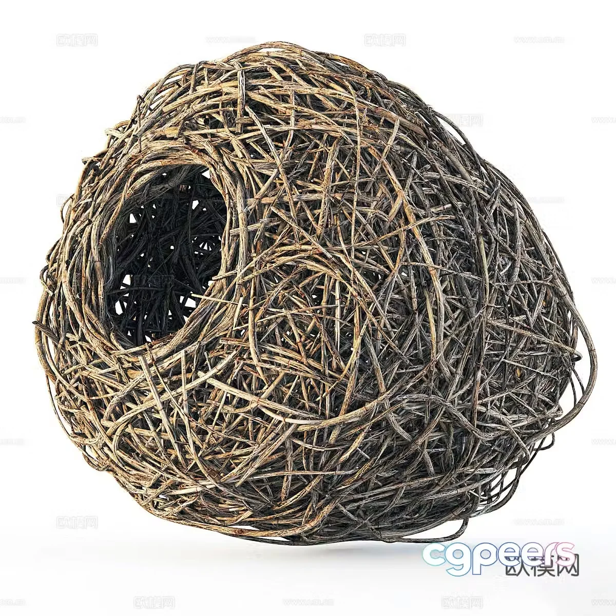 Bird’s Nest Bird’s Nest 3D Model