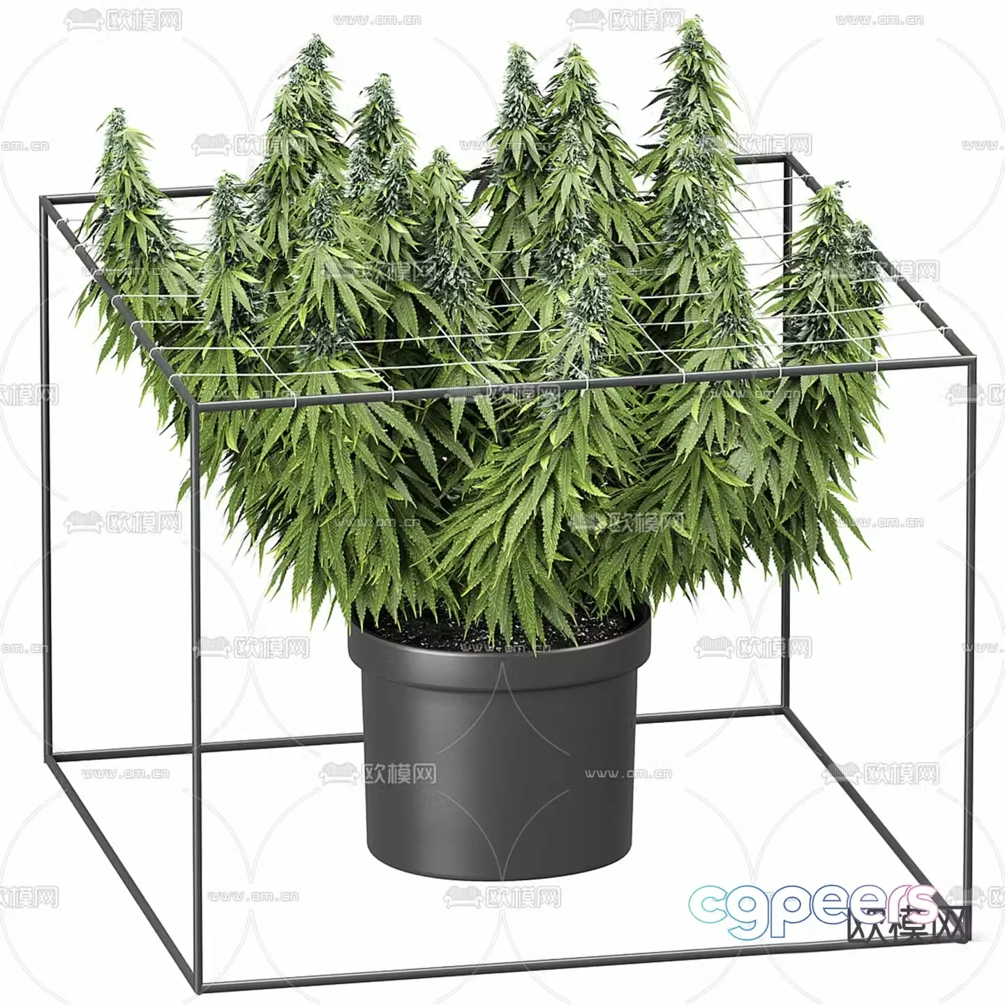 Flower bag green plants potted plants 3D model