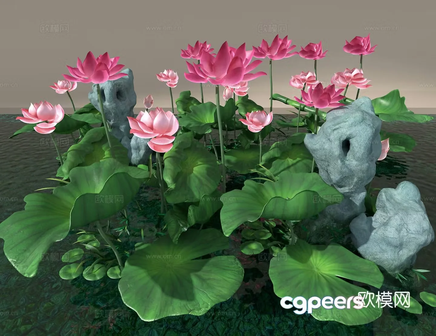 Lotus 3d model