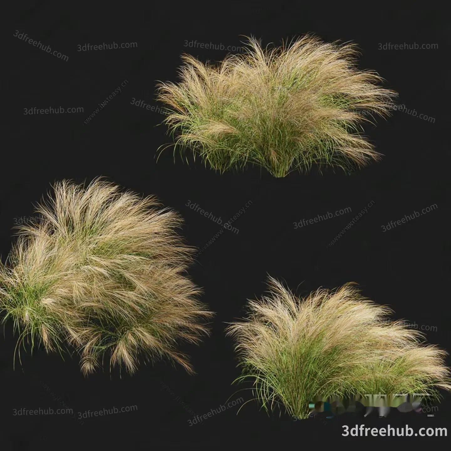 Tall Grass In A Field 3D Model – 18686 – VRAY Render