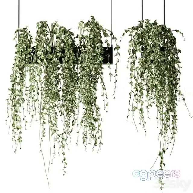 3ds Max Free – Bouquet Collection 08 – Decorative Hanging Plants