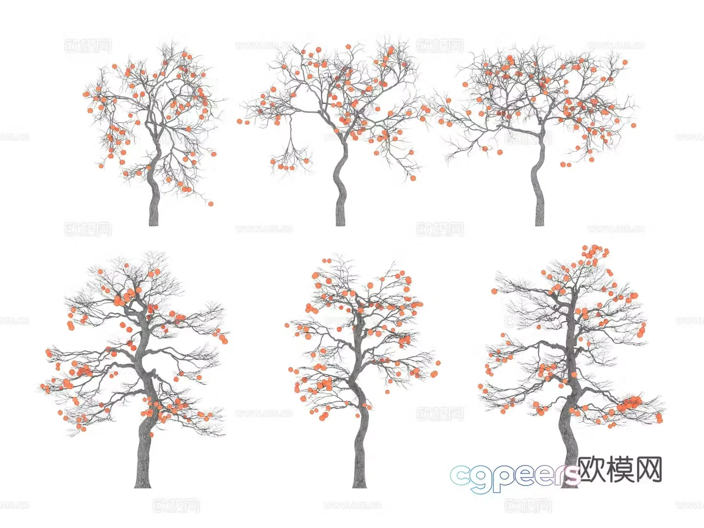 Modern tree Street tree Landscape tree Fruit tree Persimmon tree Winter leafless persimmon tree combination 3D model