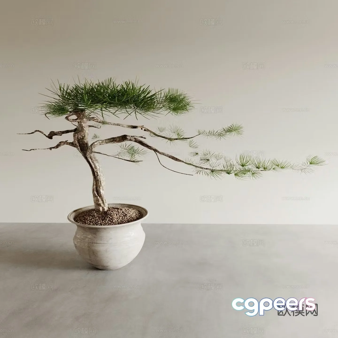 Bonsai pots indoor green plants plant ornaments plant flower pots vase flower pots 3D model