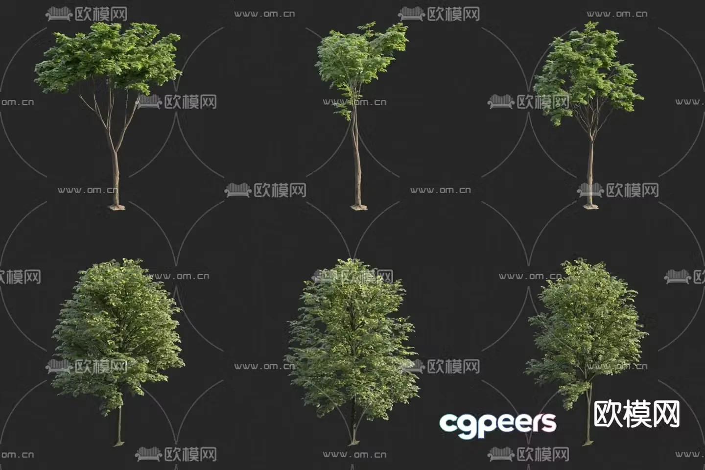 Tree Plant 3D Model