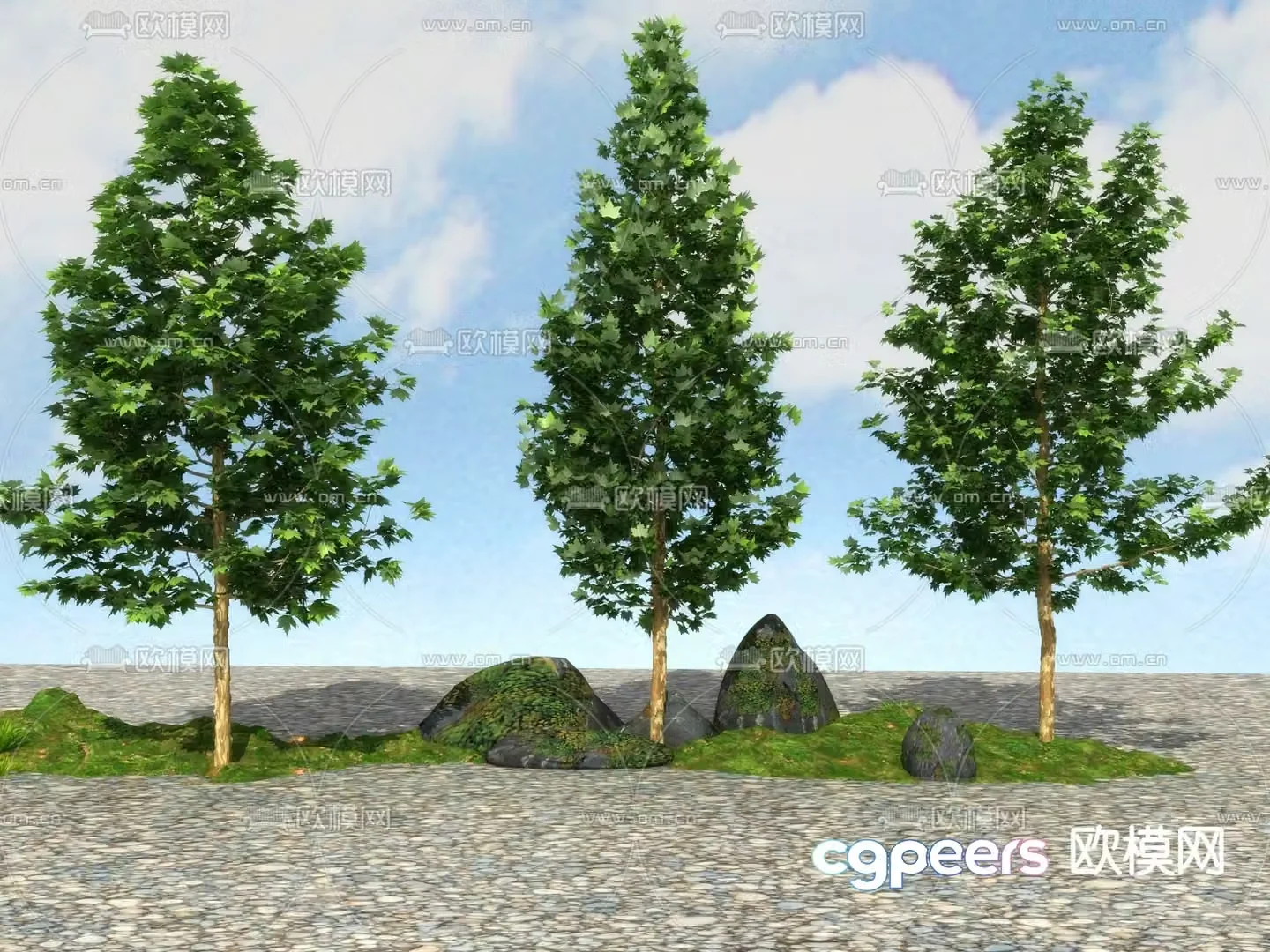 Big tree Landscape tree Street tree 3d model
