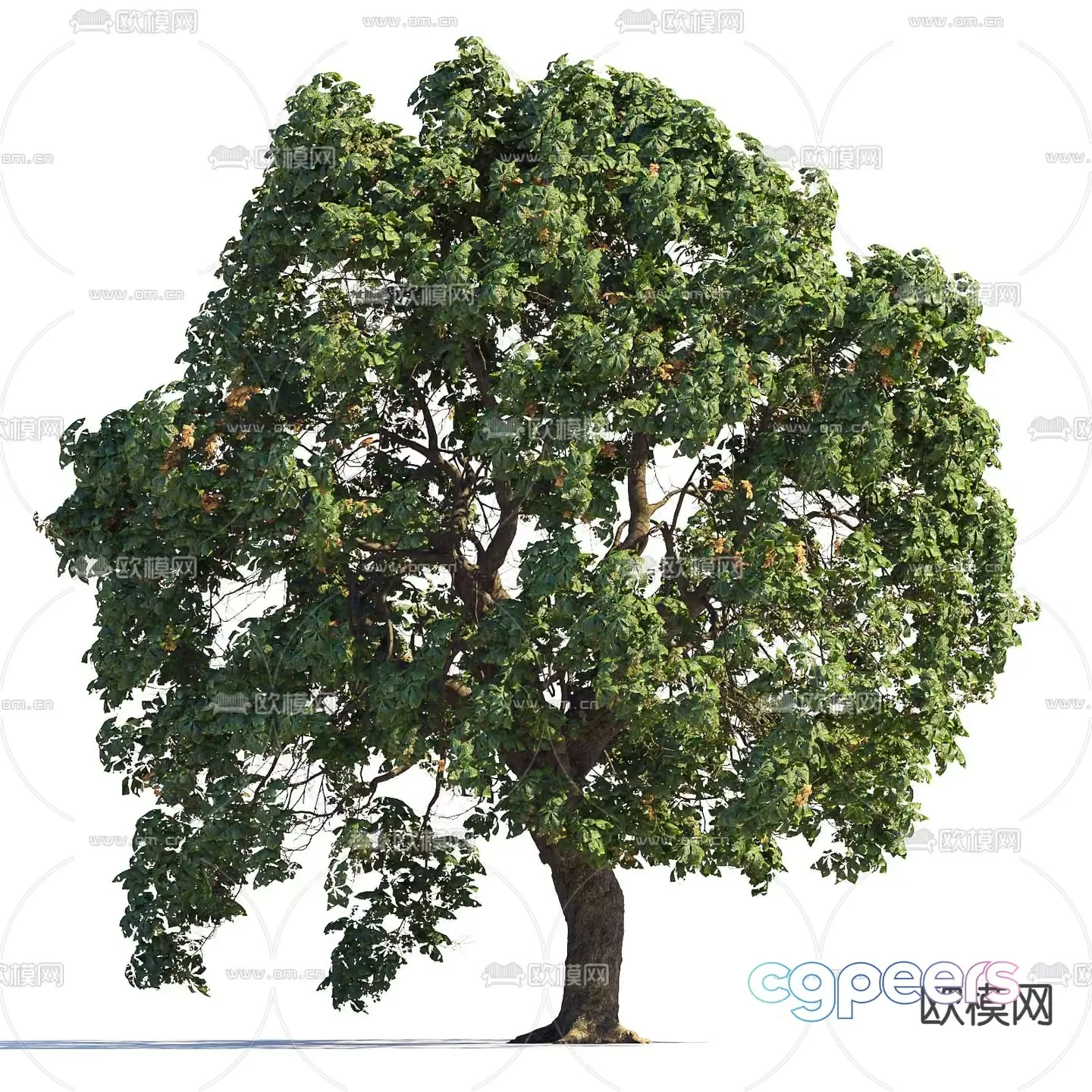 A Tree 3D Model – 9006 – VRAY Render
