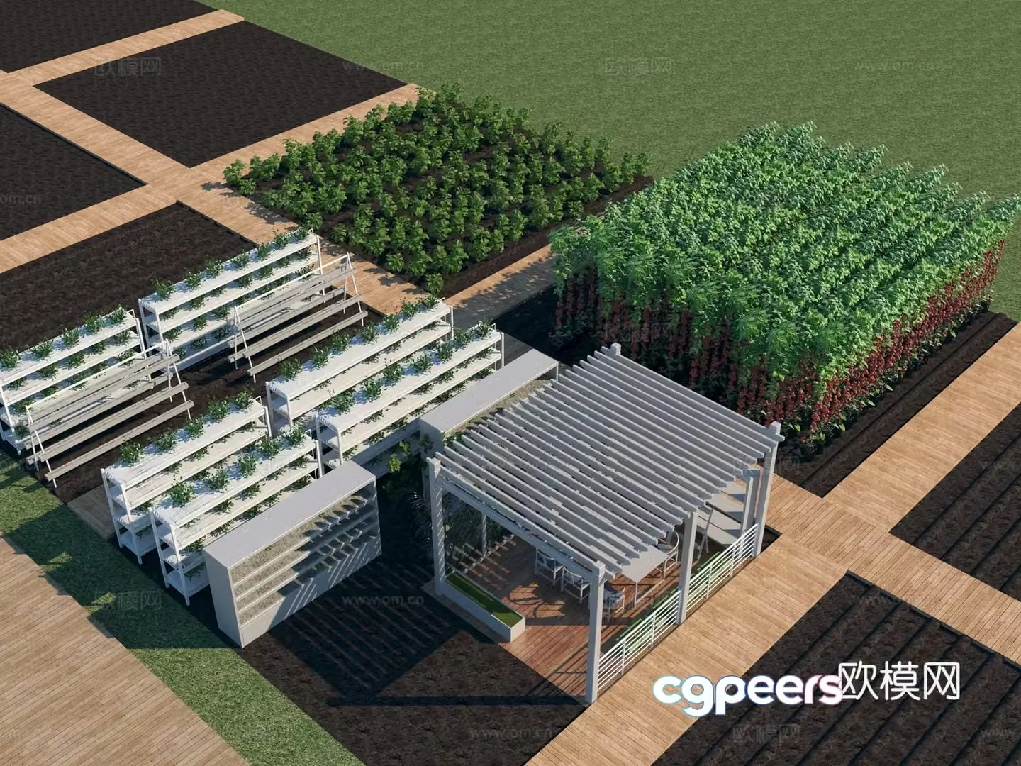Vegetable planting base 3D model