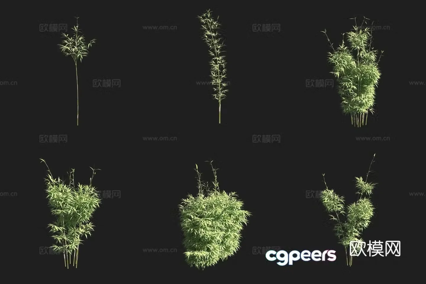 Japanese Arrow Bamboo Bamboo Forest 3D Model